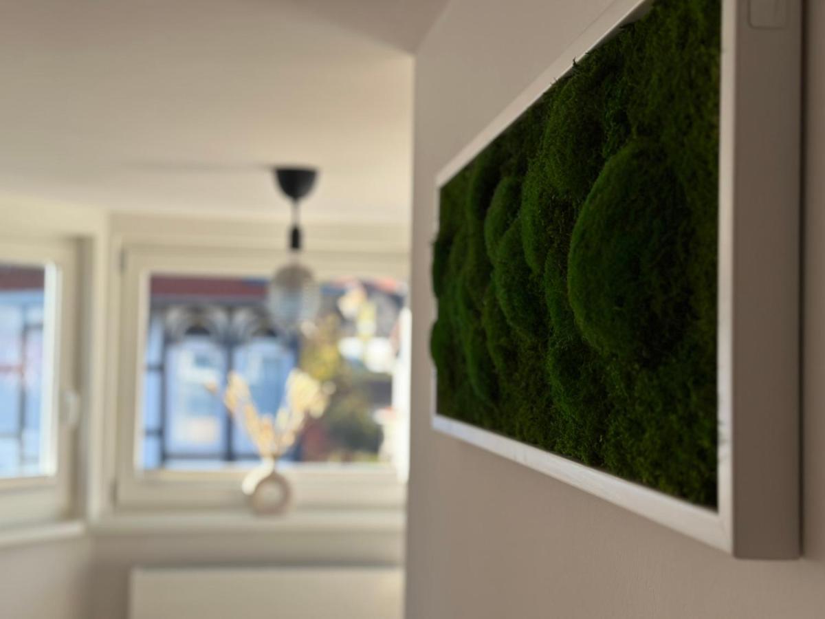 Turm.Blick Διαμέρισμα Γκόσλαρ Εξωτερικό φωτογραφία